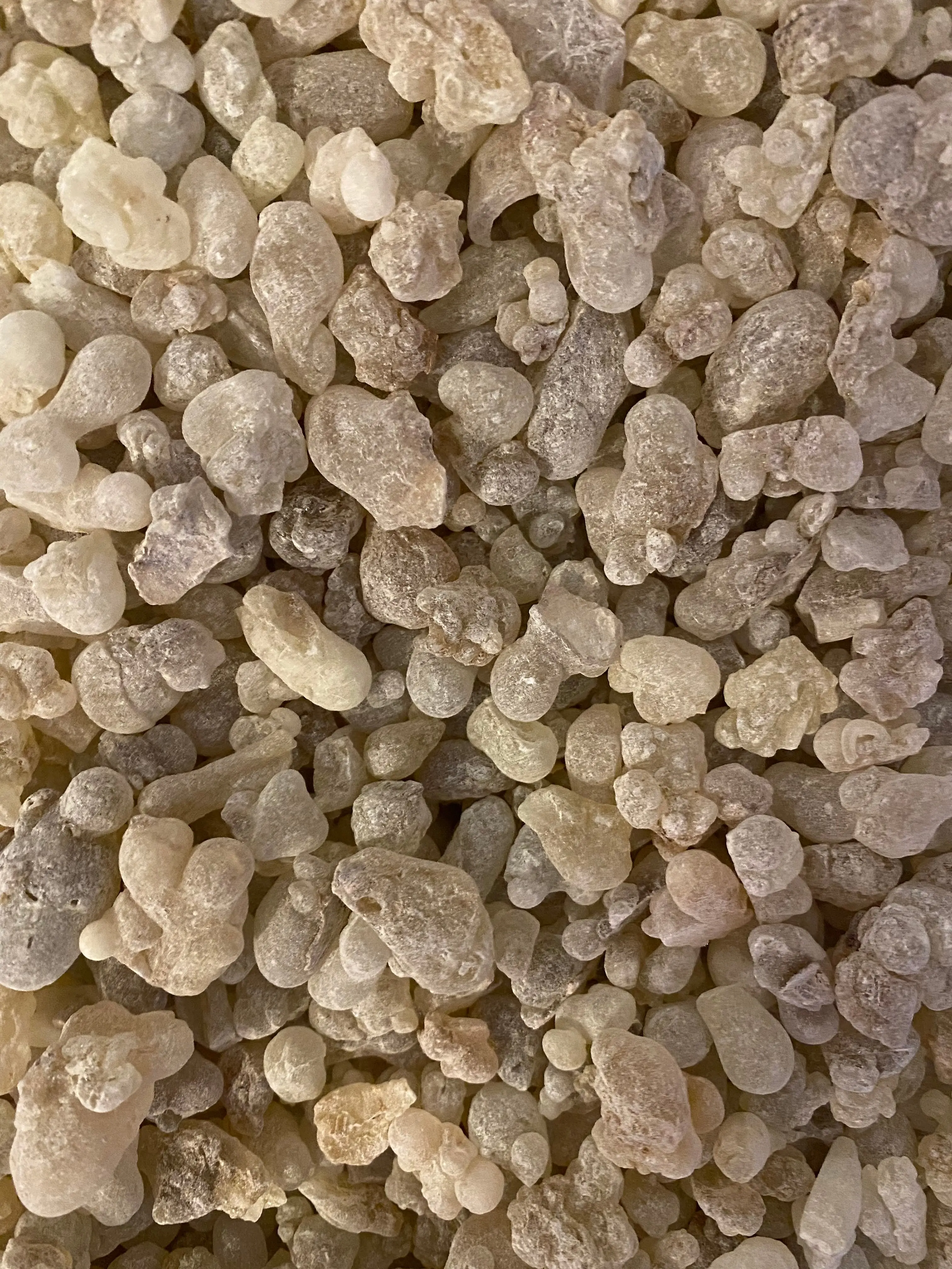 Edible frankincense hawjari - 30g - Sultanate of Oman - Salalah - louban houjari - ?????? ??????? - howjari - hojari
