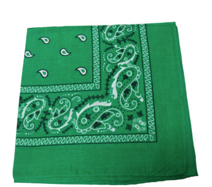 Green Paisley Bandanna  22