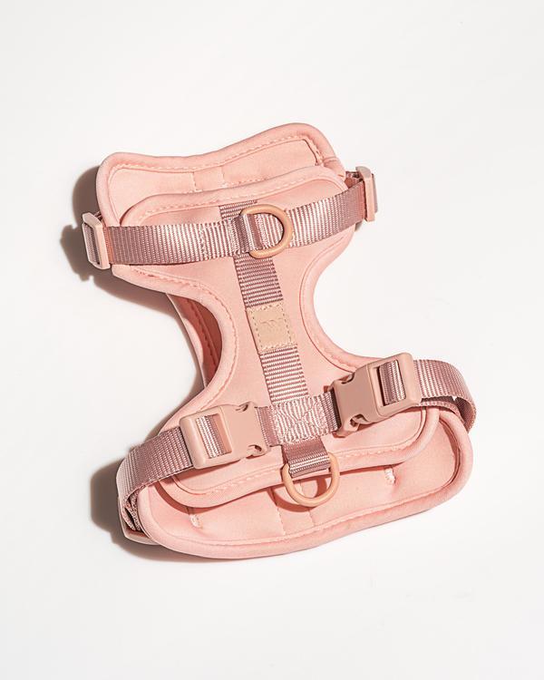 Blush Harness