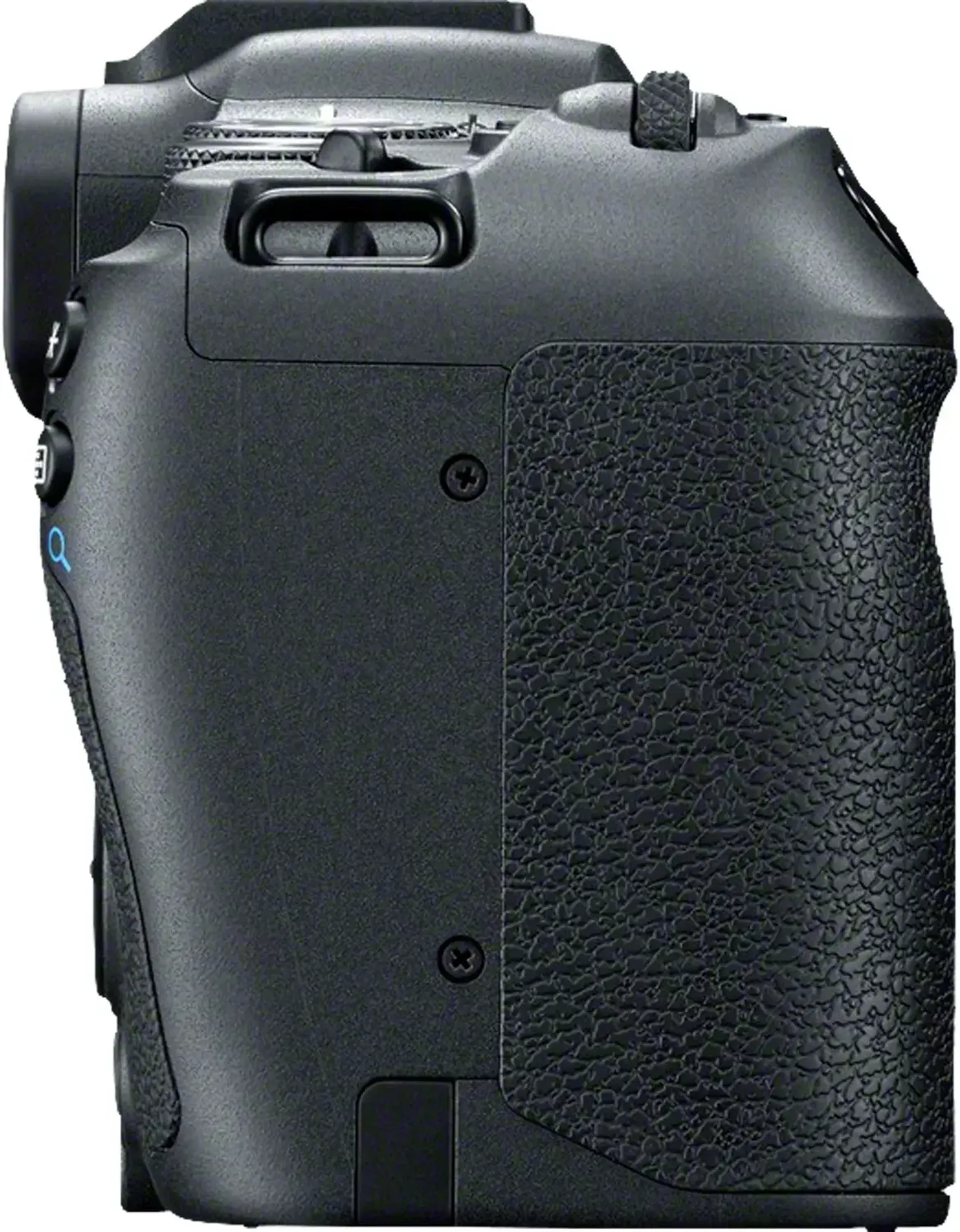 Canon EOS R8 + RF 24 - 50 mm f/4.5 - 6.3 IS STM