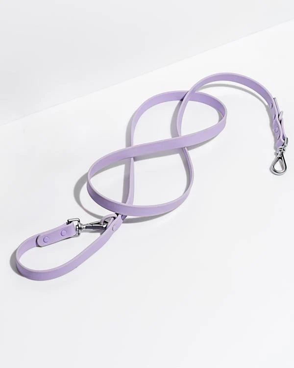 Lilac Leash