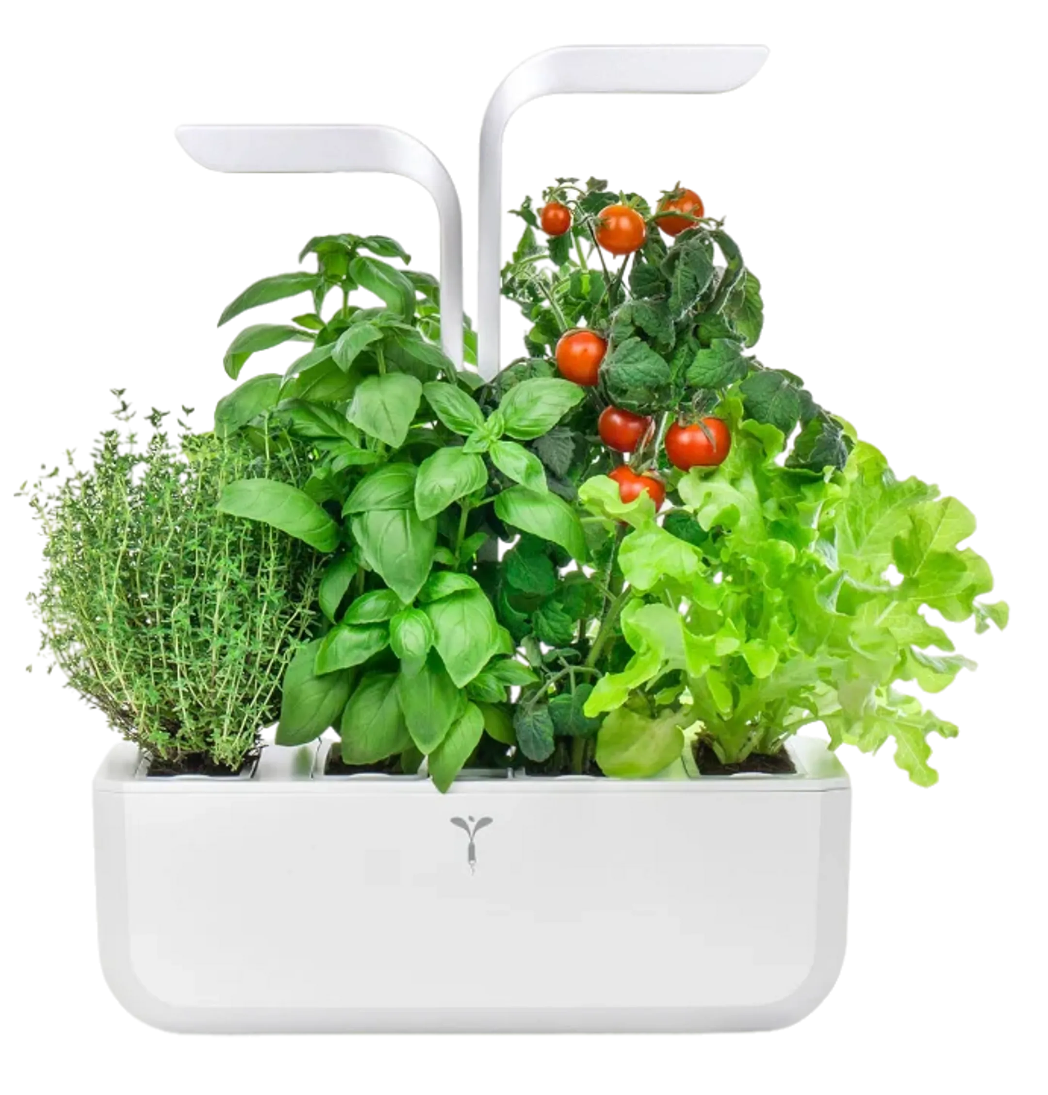 VERITABLE Moestuin Classic