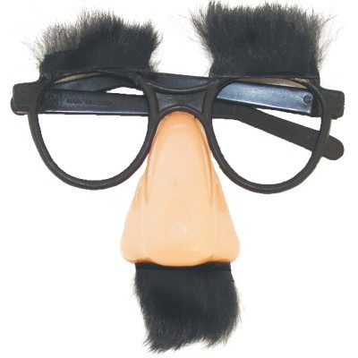 Disguise Glasses | Groucho Marx Glasses | 1631DZ