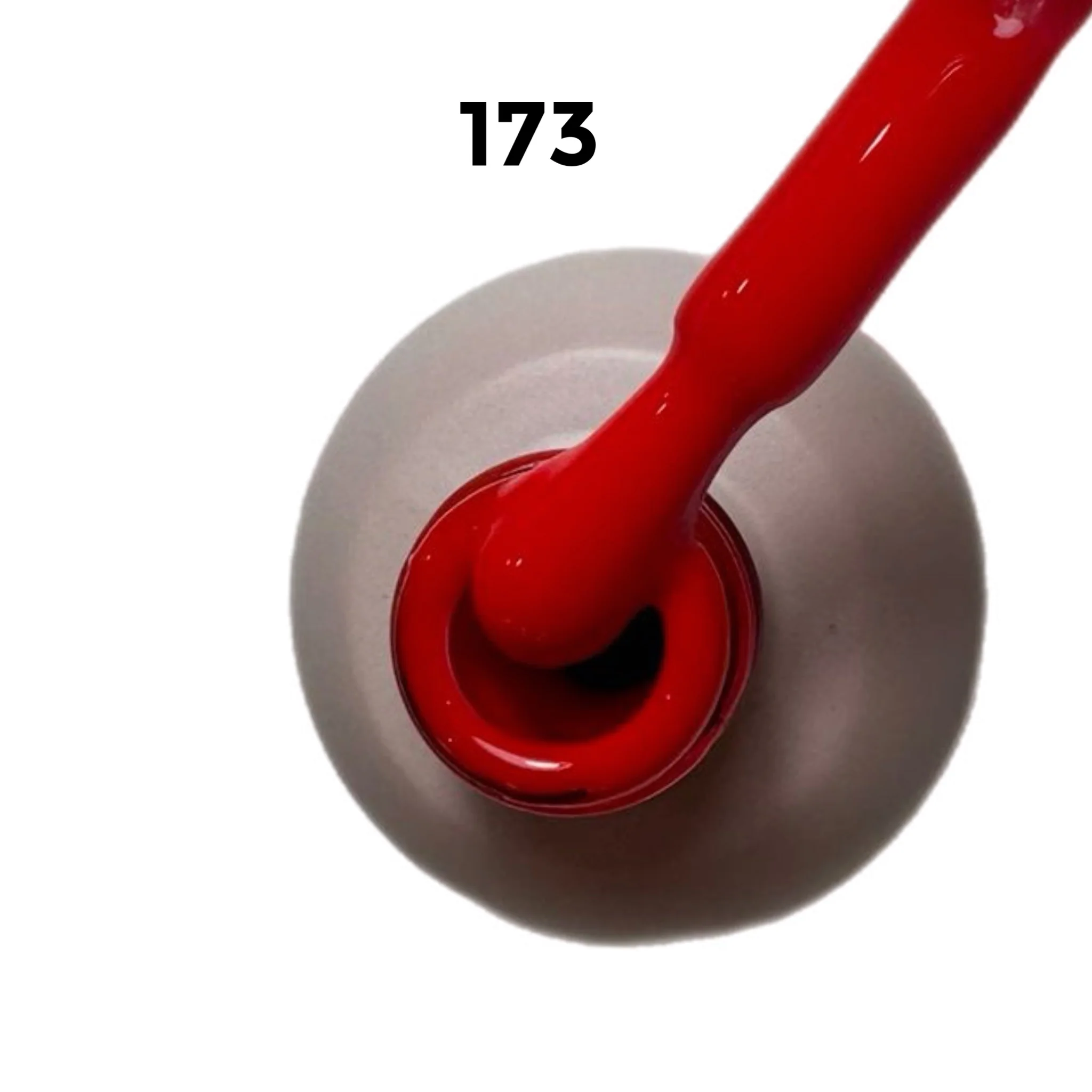 ????? ?? 173