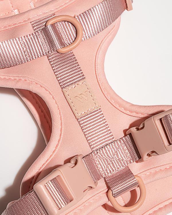 Blush Harness