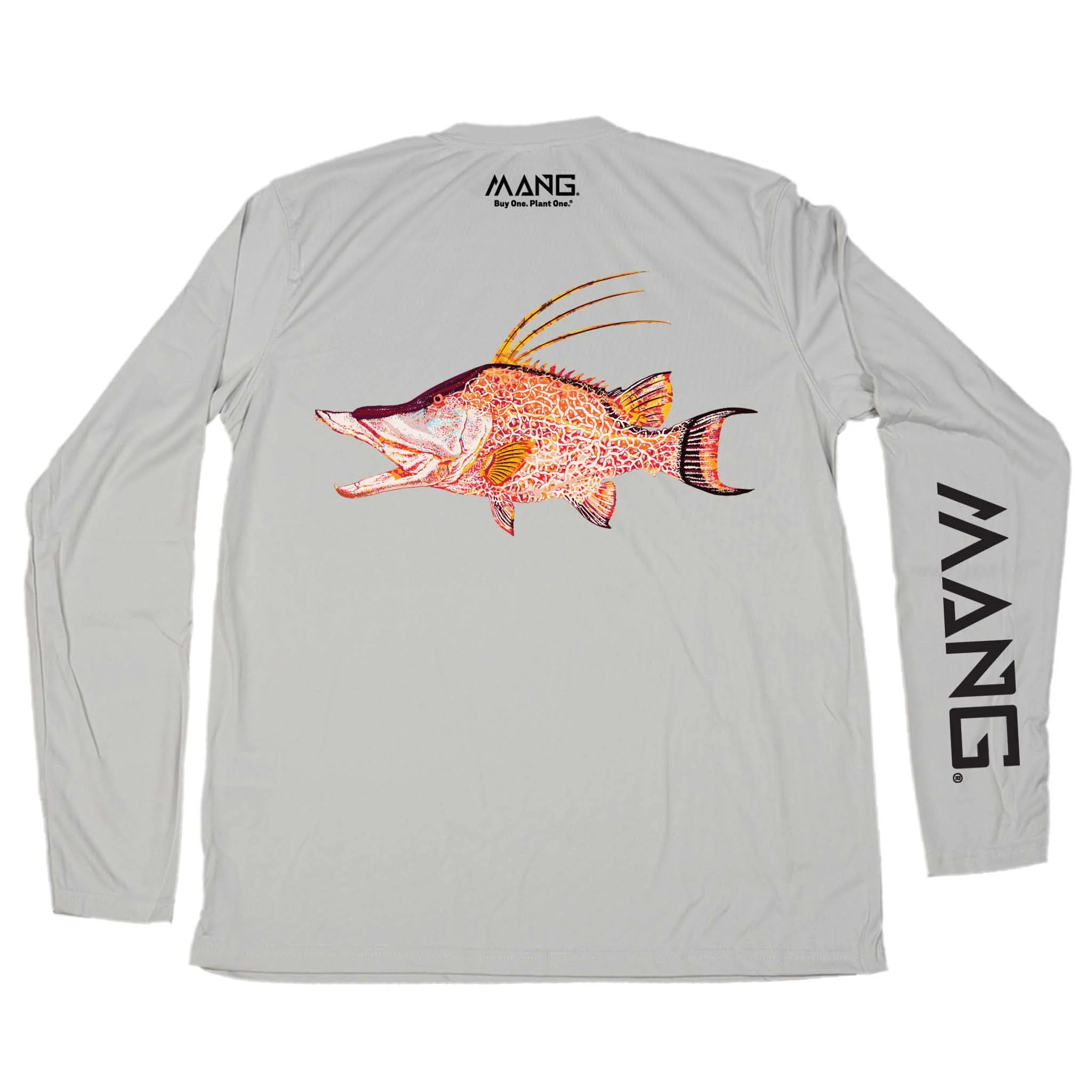 Hogfish MANG - LS