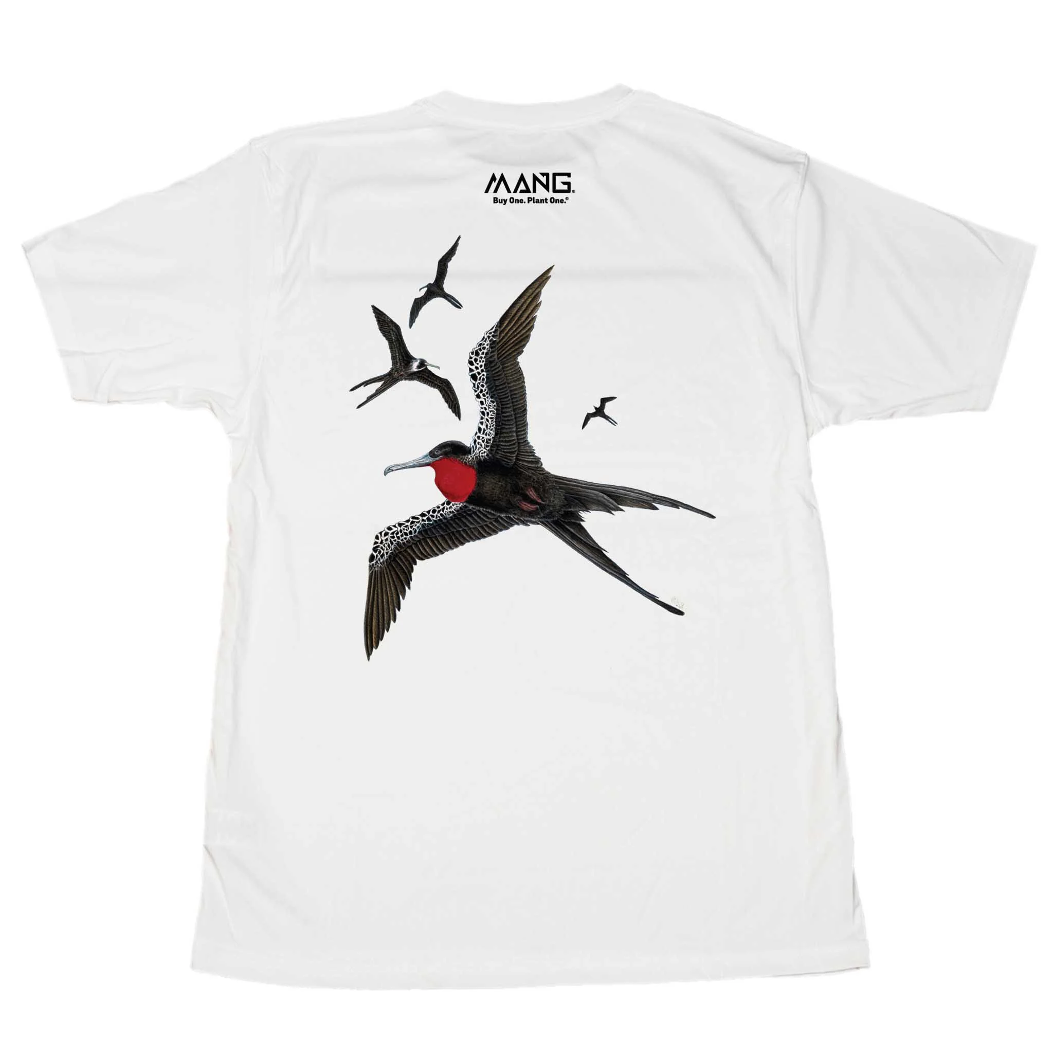 Frigatebirds MANG - SS