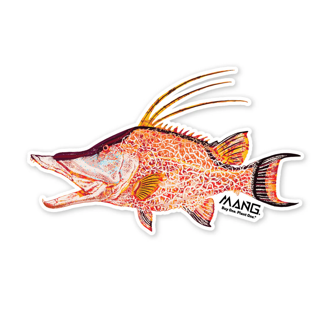 Hogfish MANG - Sticker