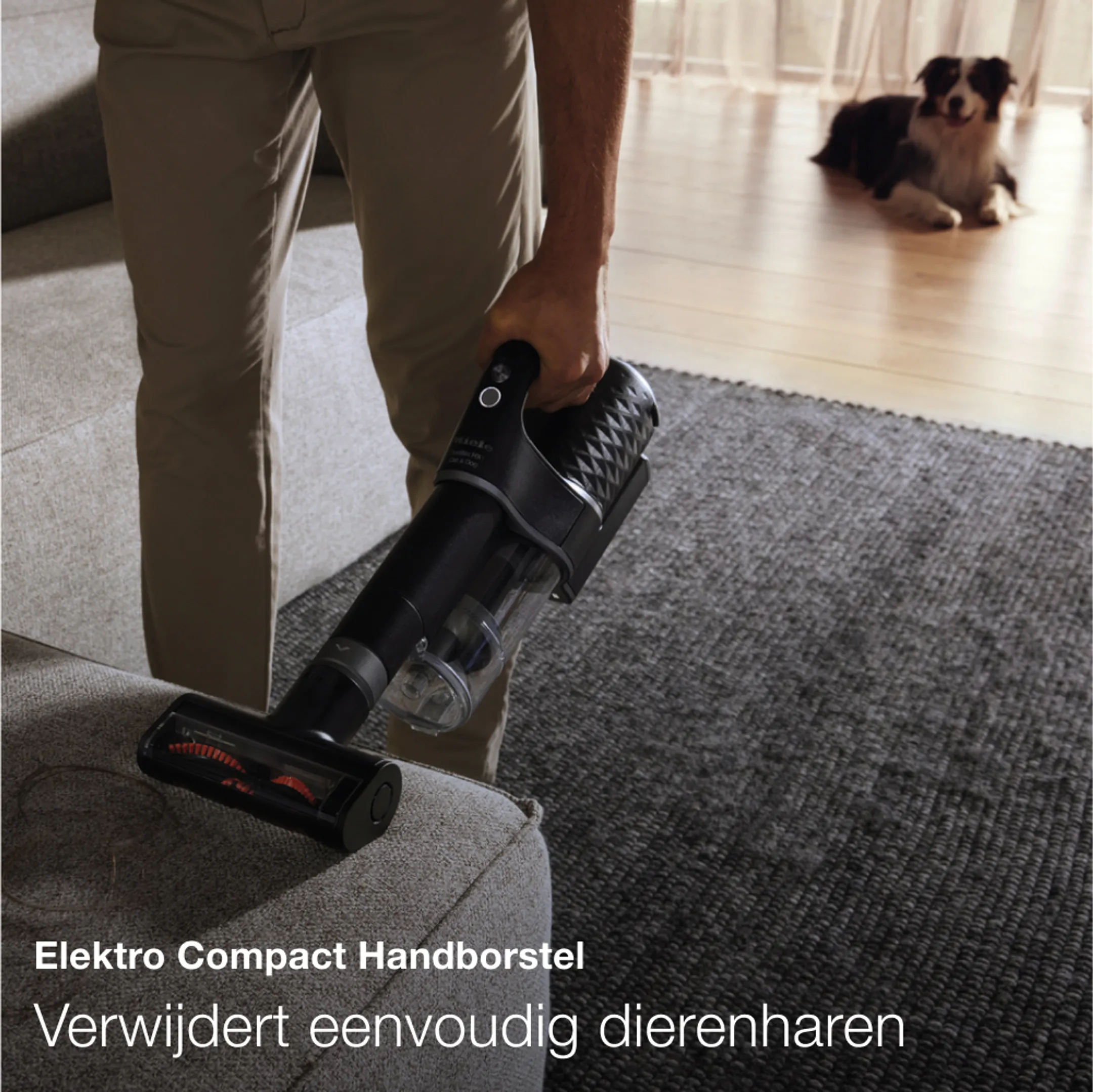 Miele Steelstofzuiger Duoflex HX1 Cat&dog - Zwart
