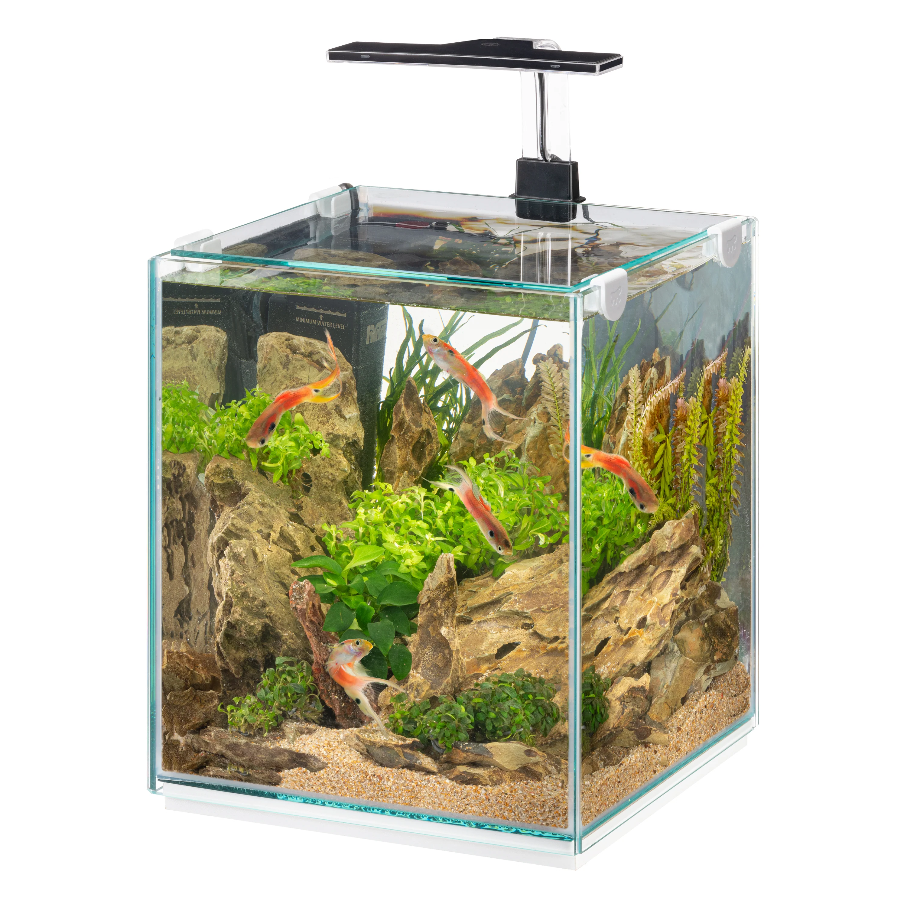 TONGA 25 Acquario da 18 Litri – Compatto ed Elegante con Illuminazione LED e Filtro Integrato