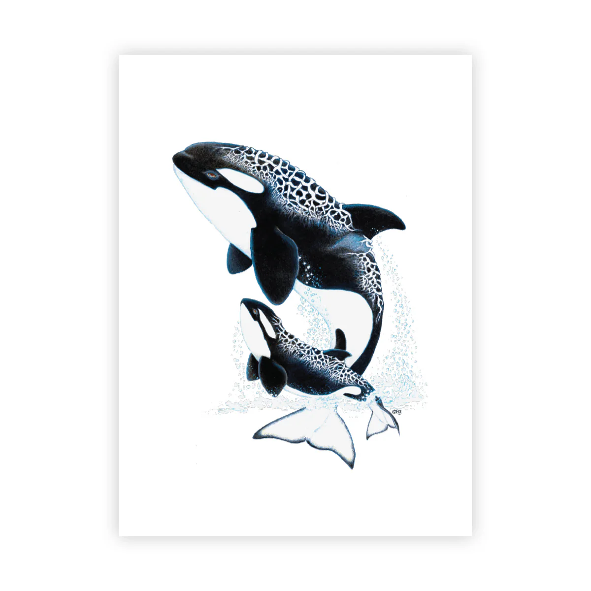 Orca - Signed Art Print (Limited Edition)