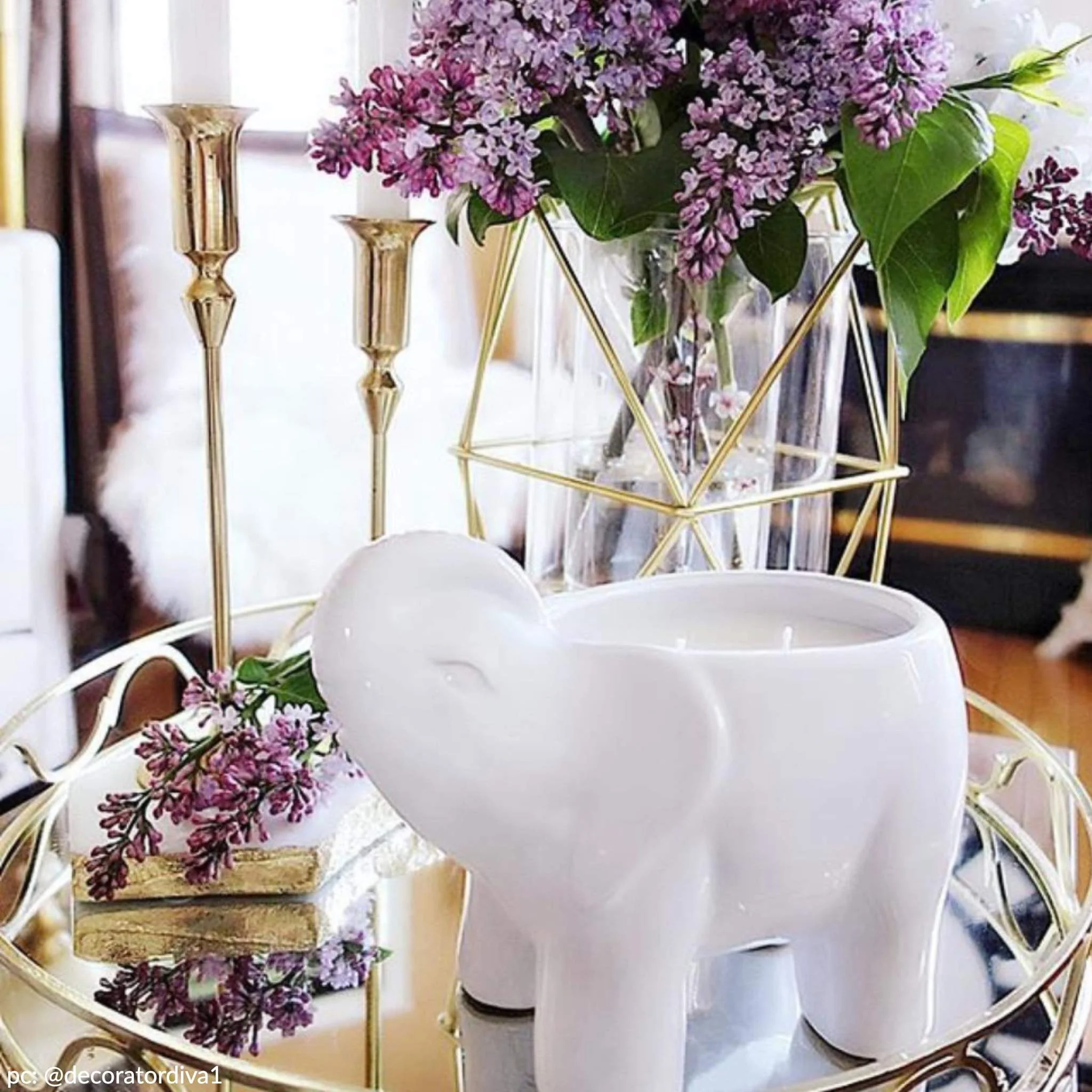 Teak Noir White Elephant