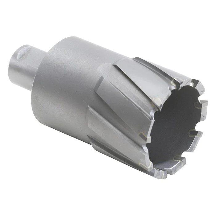 WALTER 05F112  ~  12mm X30mm Carbide Core Cut