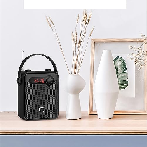 ROUZIHU Altoparlante H8 Amplificatore vocale Portatile Microfono Registrazione Audio Radio FM Altoparlante Scheda TF : Strumenti Musicali