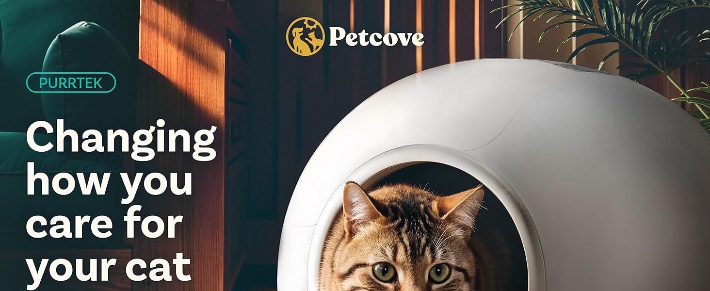 self cleaning litter box automatic cat litter box self cleaning cat litter box automatic cleaning