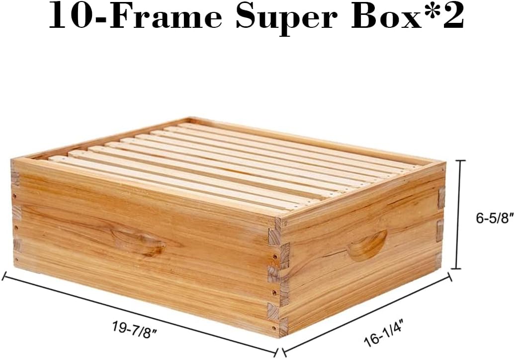 BeeCastle 10 Frame Langstroth Bee Hive Coated with 100% Beeswax Includes Beehive Frames and Waxed Foundations (2 Deep Boxes & 2 Medium Boxes)