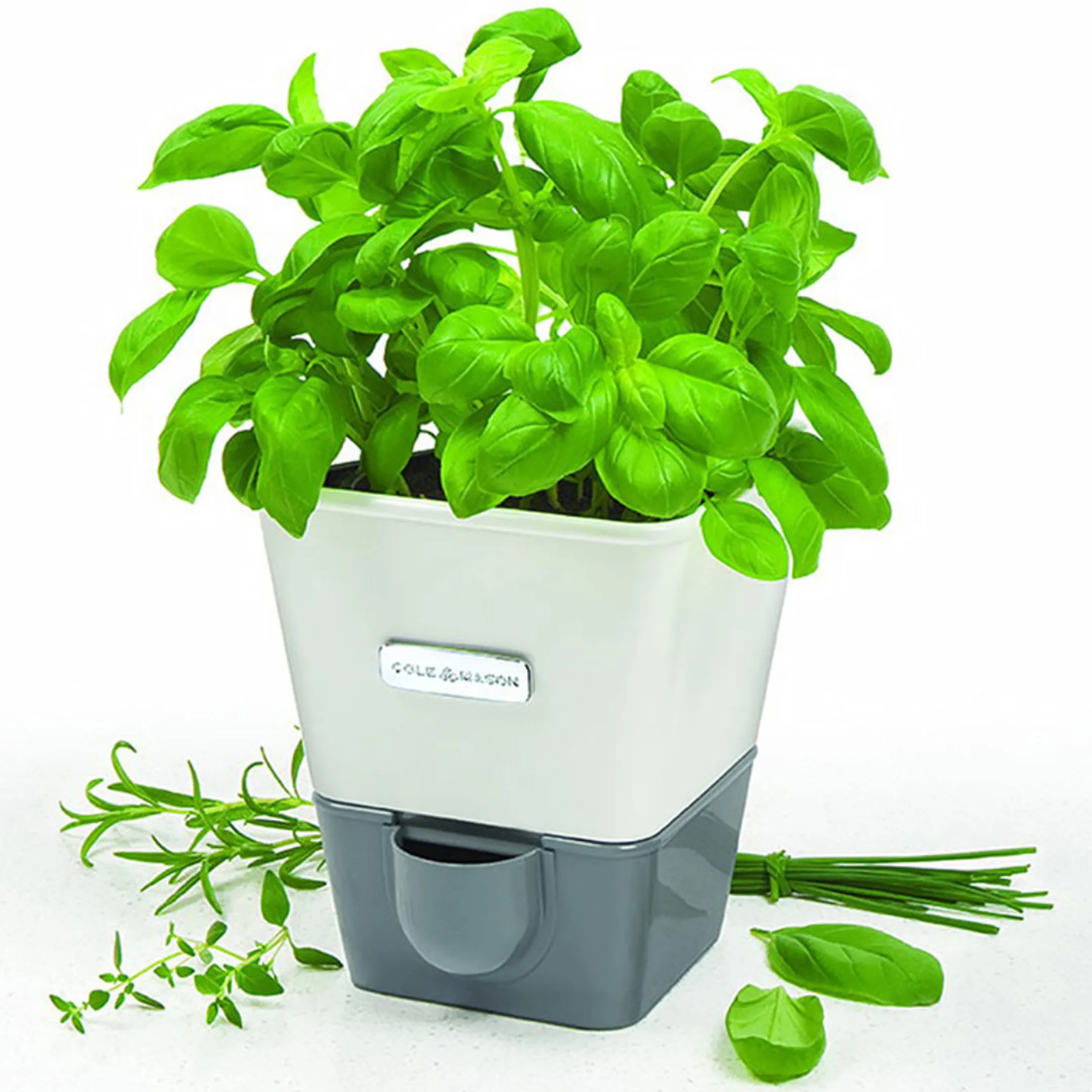 Cole&Mason Kruidenpot met waterreservoir