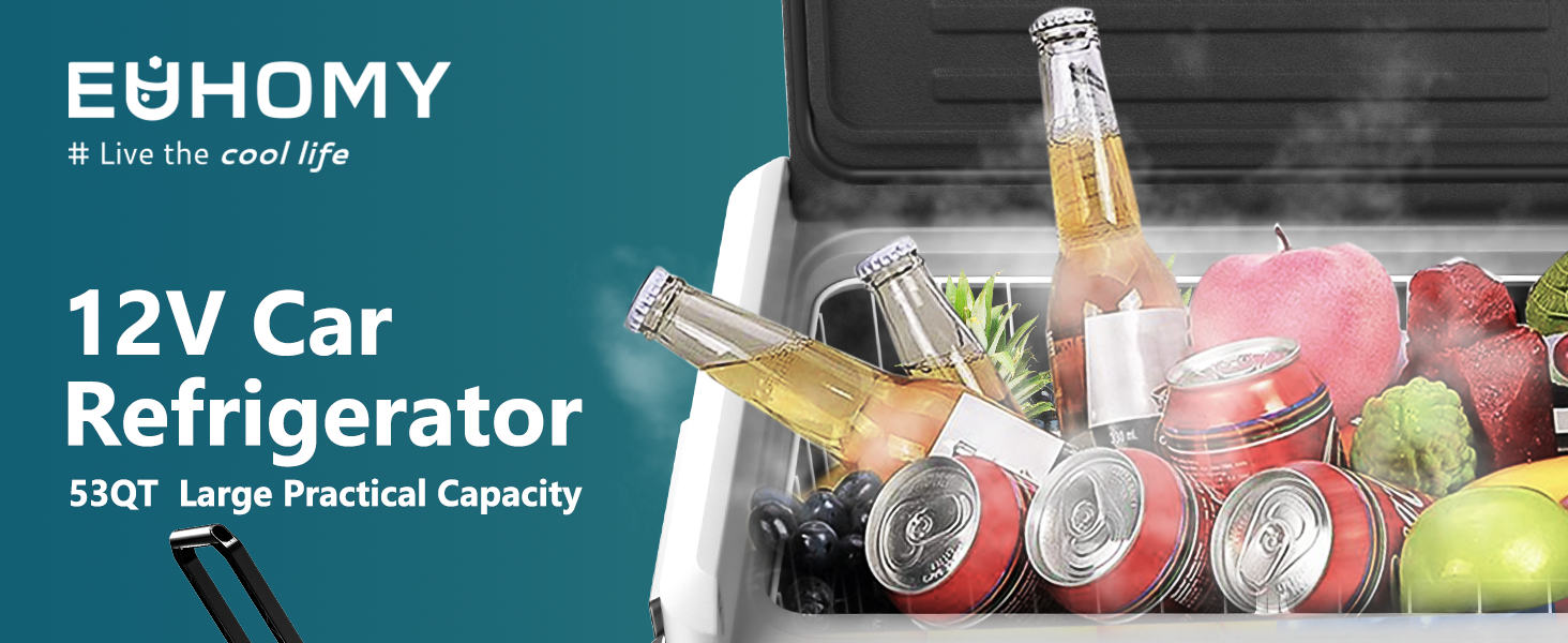 car refrigerator