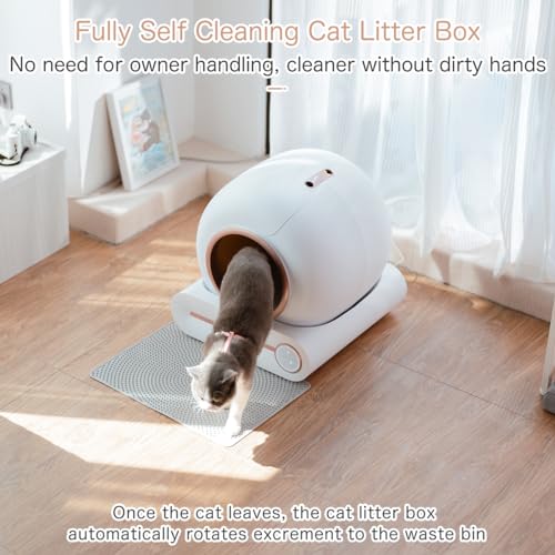 Bamboosang Lettiera Gatto Autopulente: Lettiera Automatica 65L Smart Lettiera Gatto Autopulente con Controllo APP/Protezione di Sicurezza/Rimozione Odori, Toilette per Gatti con Tappeto per Più Gatti : Amazon.it: Prodotti per animali domestici