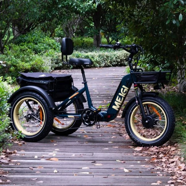 SILVERADO 20 48V/14AH 750W Folding Electric Tricycle with Wide Tires, 150 kg (96817362)