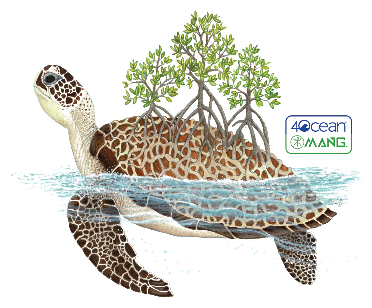4ocean Turtle - Sticker