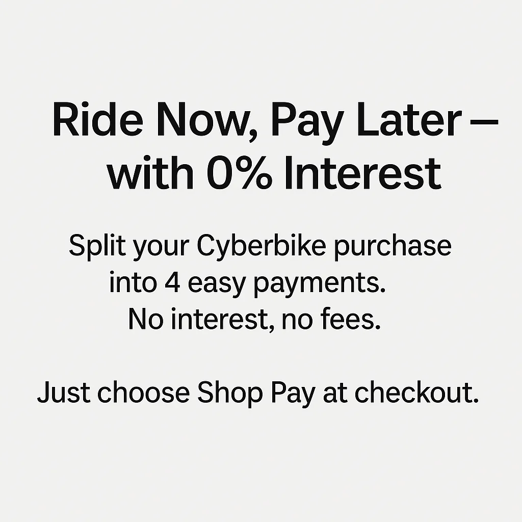 Cyberbike Charger R1 eMoto