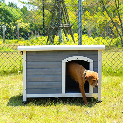 Petsfit Casetta per Cani da Esterno, con Pavimento Rimovibile, Tetto Apribile in Legno, Cuccia per Cane da Esterno, 78 x 52 x 58 cm grigio : Amazon.it: Prodotti per animali domestici