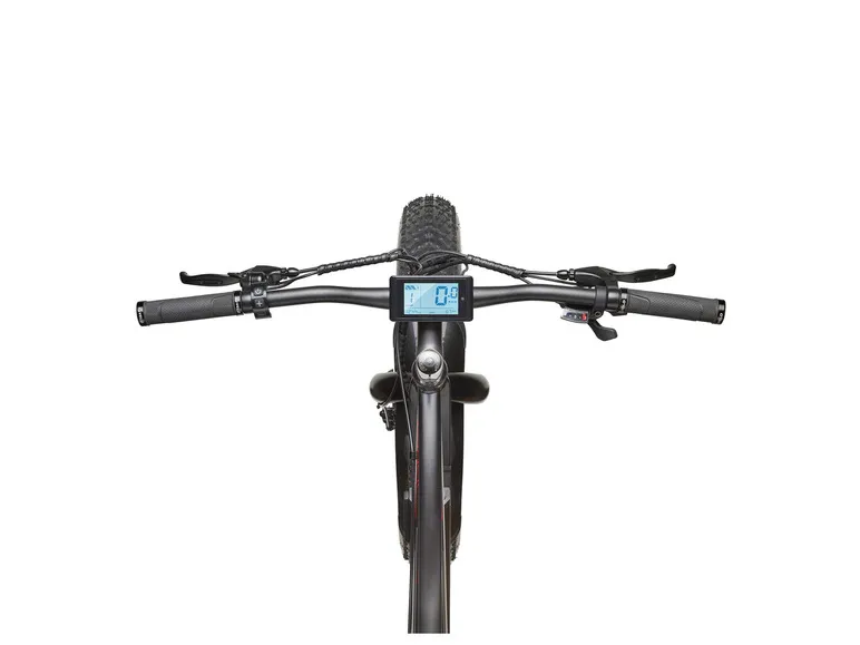 E-Bike Fat Bike Aufsteiger FM350 26 Zoll schwarz