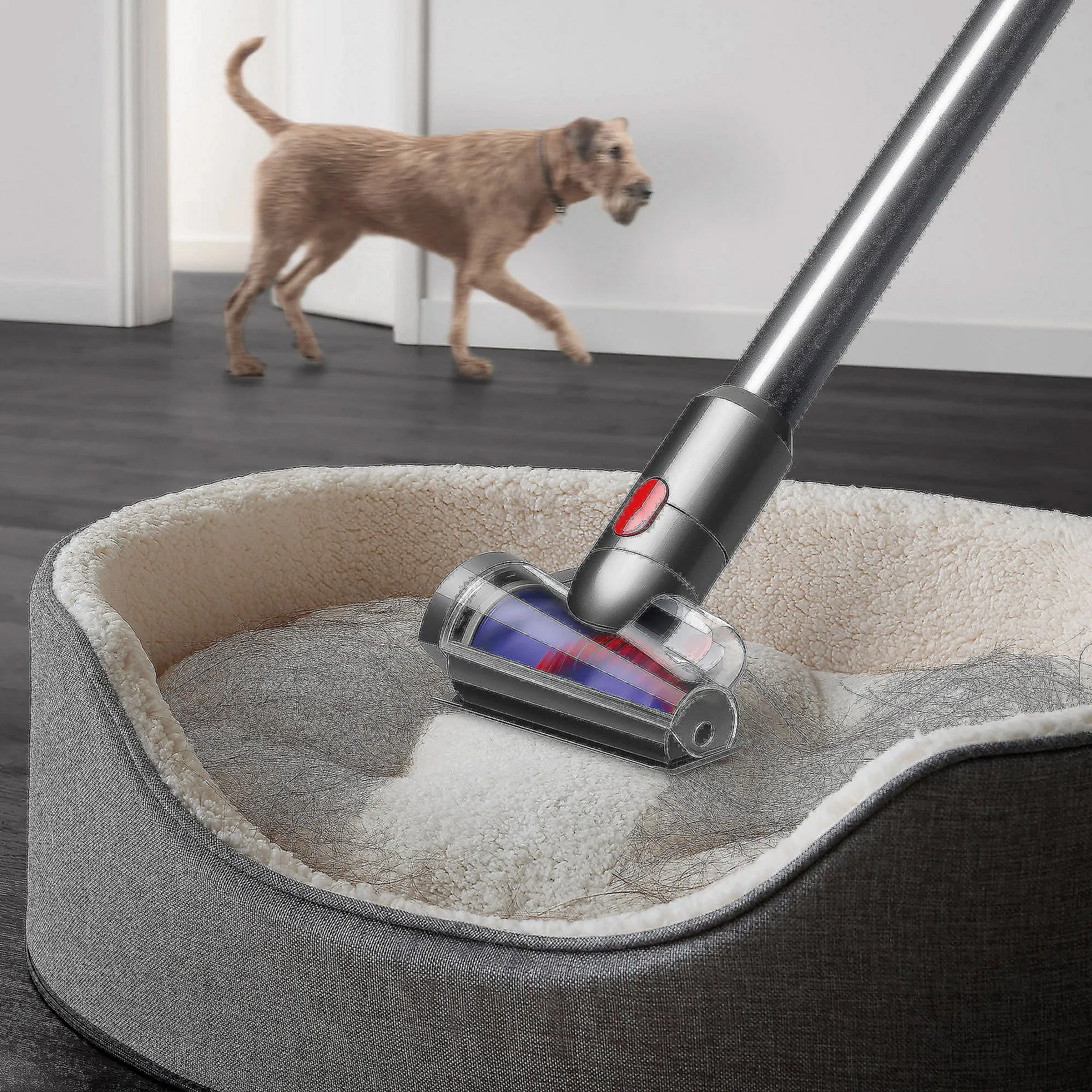 Dyson Steelstofzuiger V15 Detect Fluffy