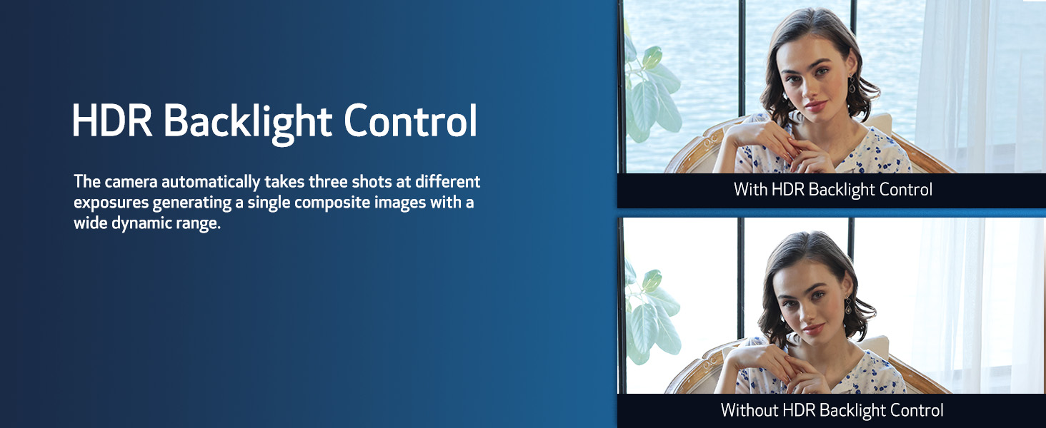 Pasted Image