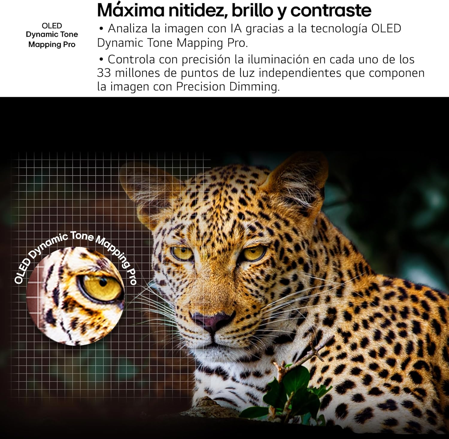OLED48C54LA - TV 48