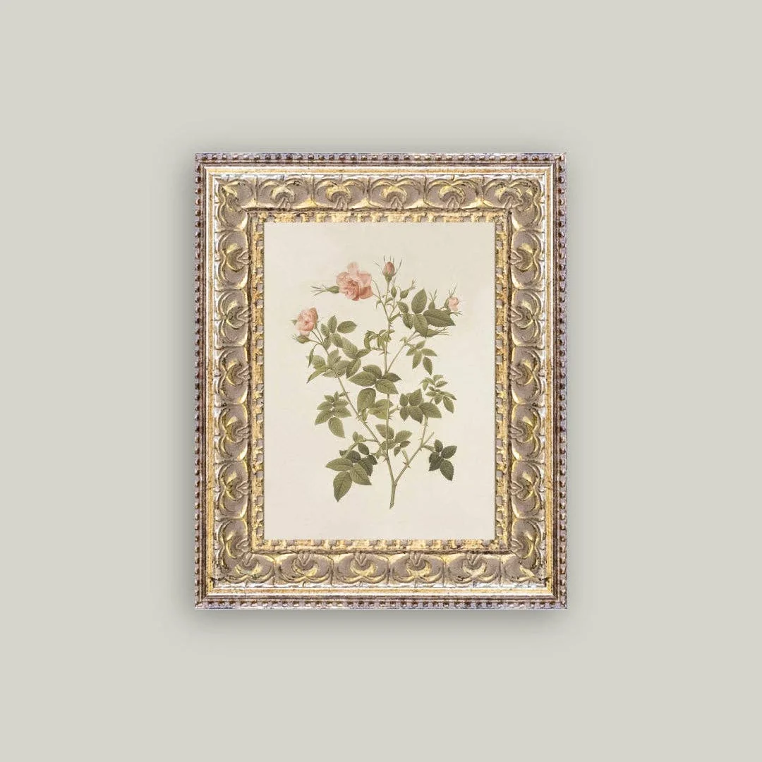Rosa Framed Antique Inspired Framed Art