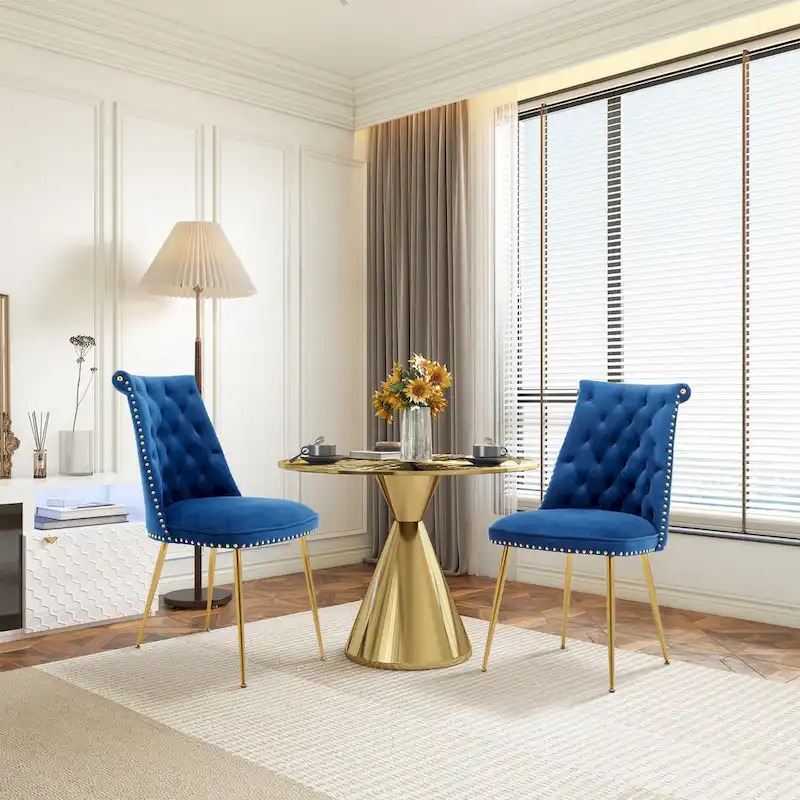 Clihome Modern Velvet Upholstered Featured Dining Chairs (Set of 2)