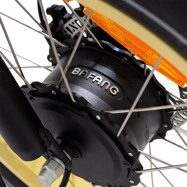 20 48V/14AH 750W Foldable Fat Tire Electric Trike, 330LBS