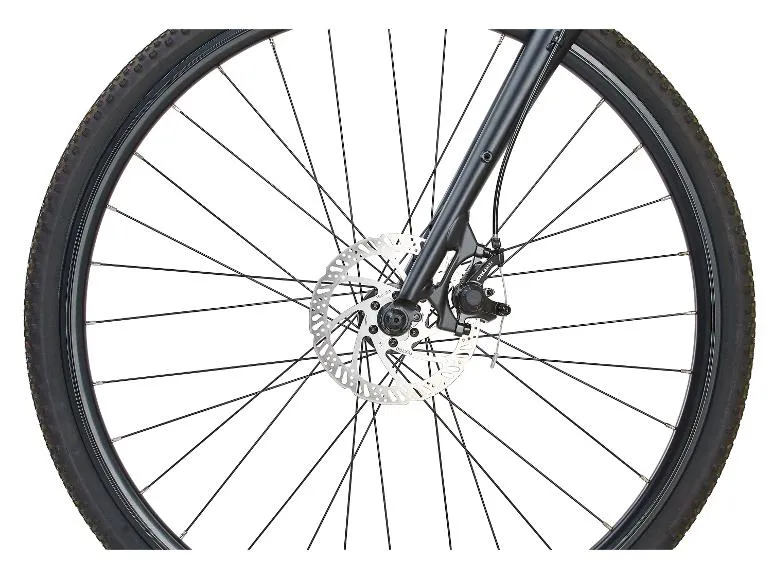 Graveler 28\ Gravelbike