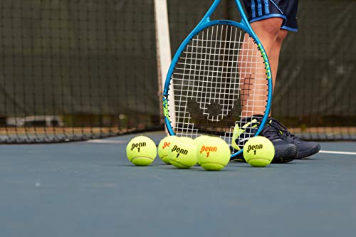 Penn Championship Tennis Feltro pressurizzato