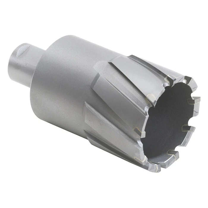 WALTER 05D812  ~  3/4 Inch x 4 Inch Carbide Core Cut
