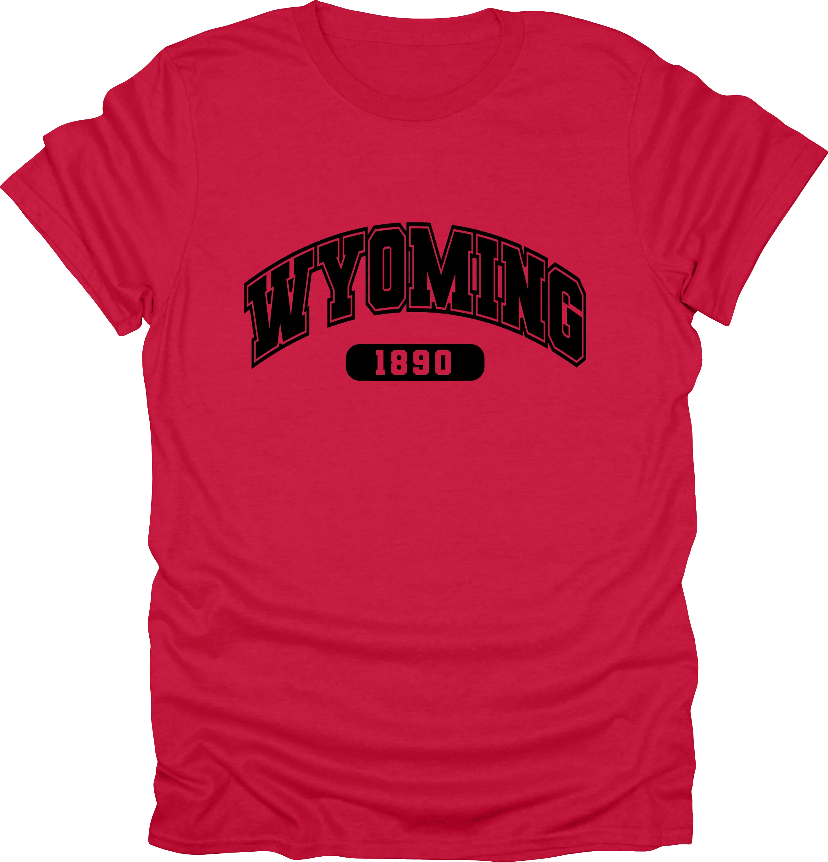 Wyoming State Shirts �C Est. 1890: Cowboy State Style T-shirt