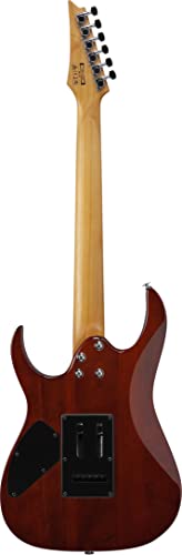 Ibanez Gio GRG220PA1 BKB Transparent Brown Black Burst   Chitarra elettrica : Strumenti Musicali