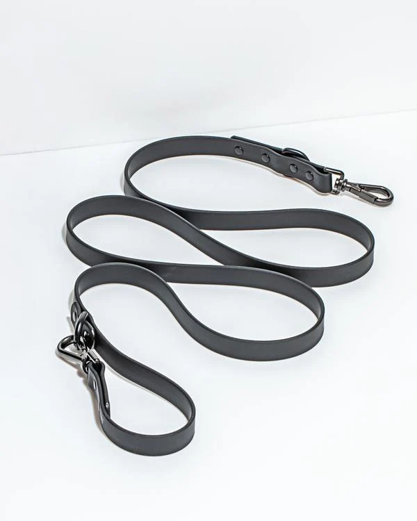 Black Leash