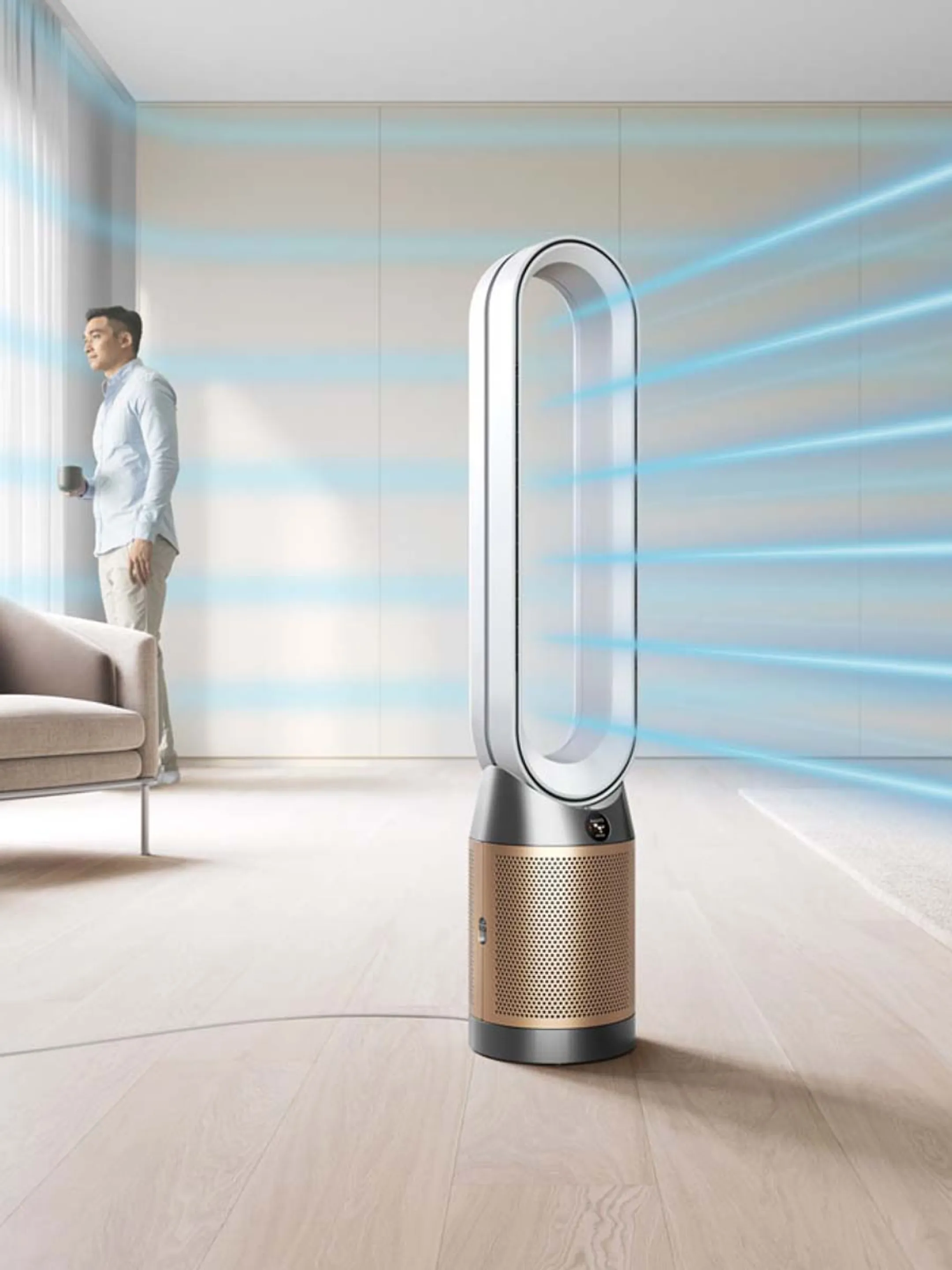 Dyson Luchtreiniger Cool PC2 De-NOx