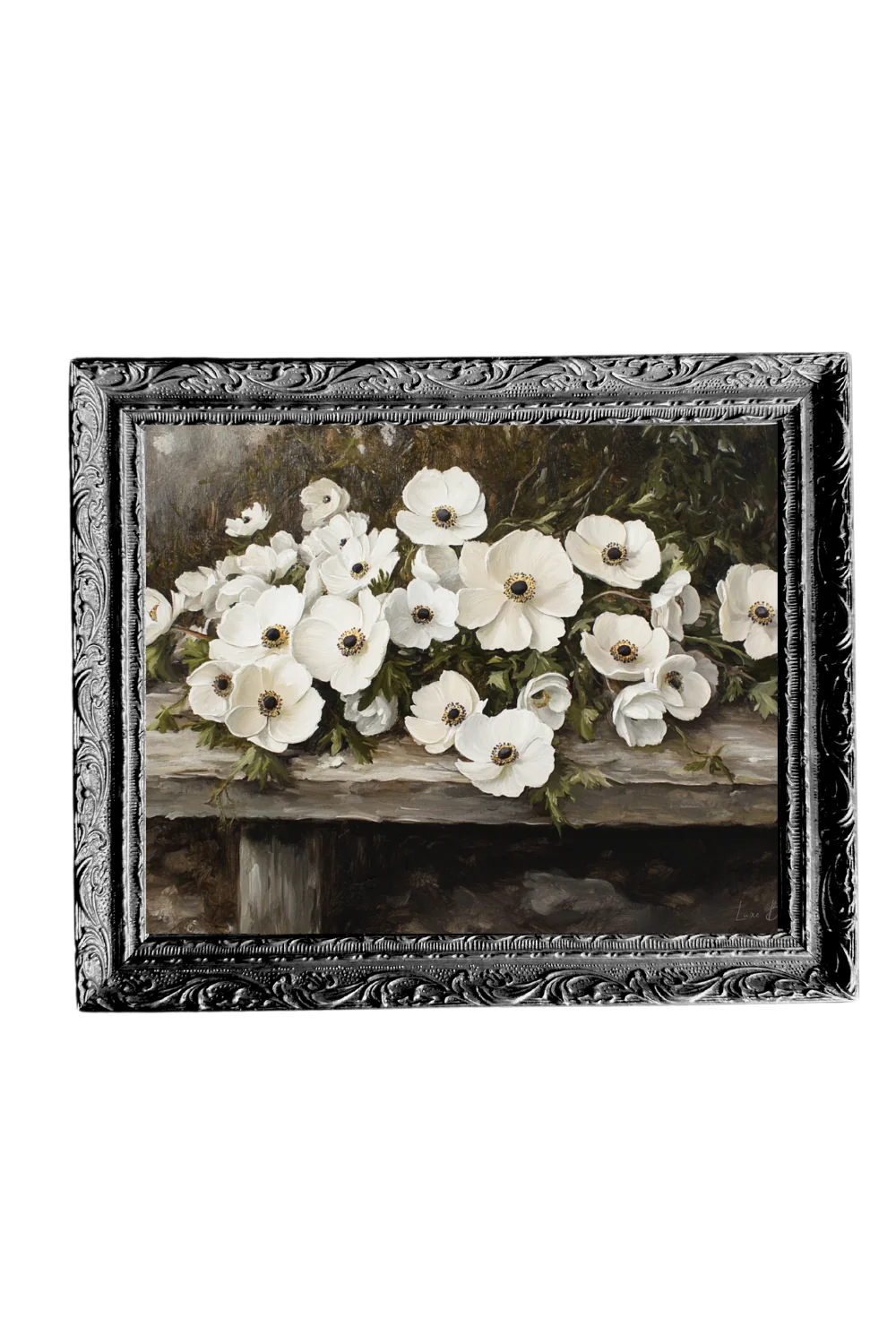 Rustic White Petal Flower | French Black Mould Framed Art