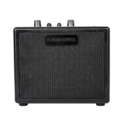 ROUZIHU Amplificatore for Chitarra elettrica Amplificatore Amplificatore Combinato Mini Portatile con Drum Machine : Bellezza