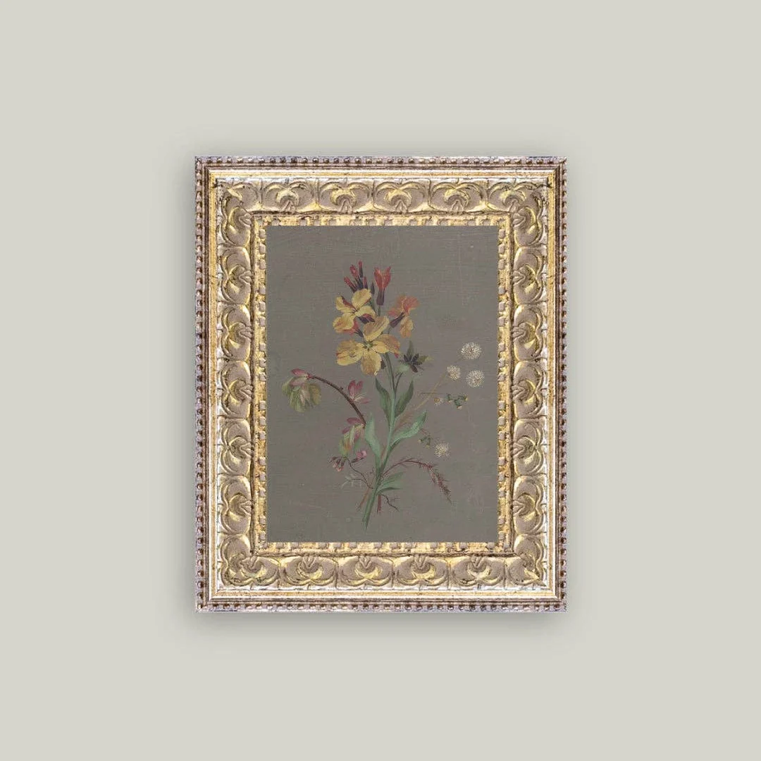 French Wildflowers Framed Antique Inspired Art