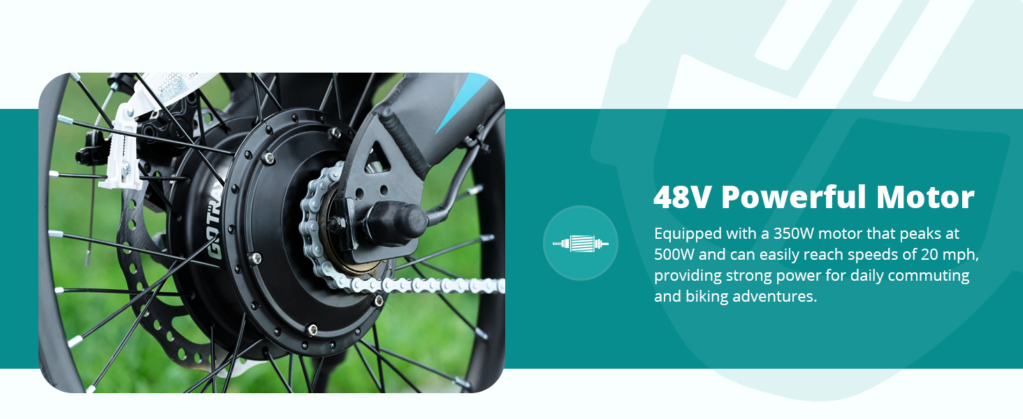 ebike with powerful motor