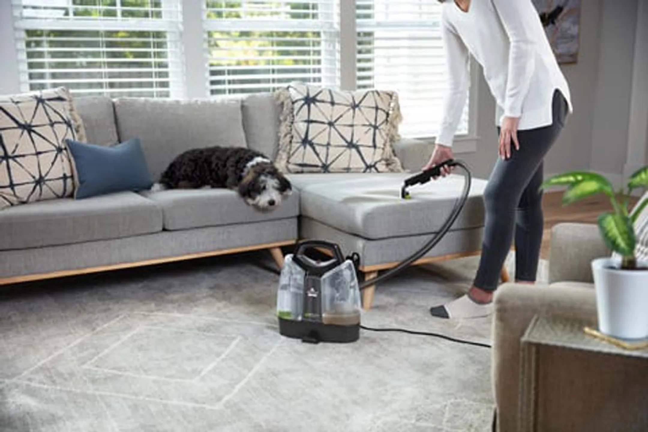 Bissell Tapijtreiniger Spotclean Pet Plus 37241