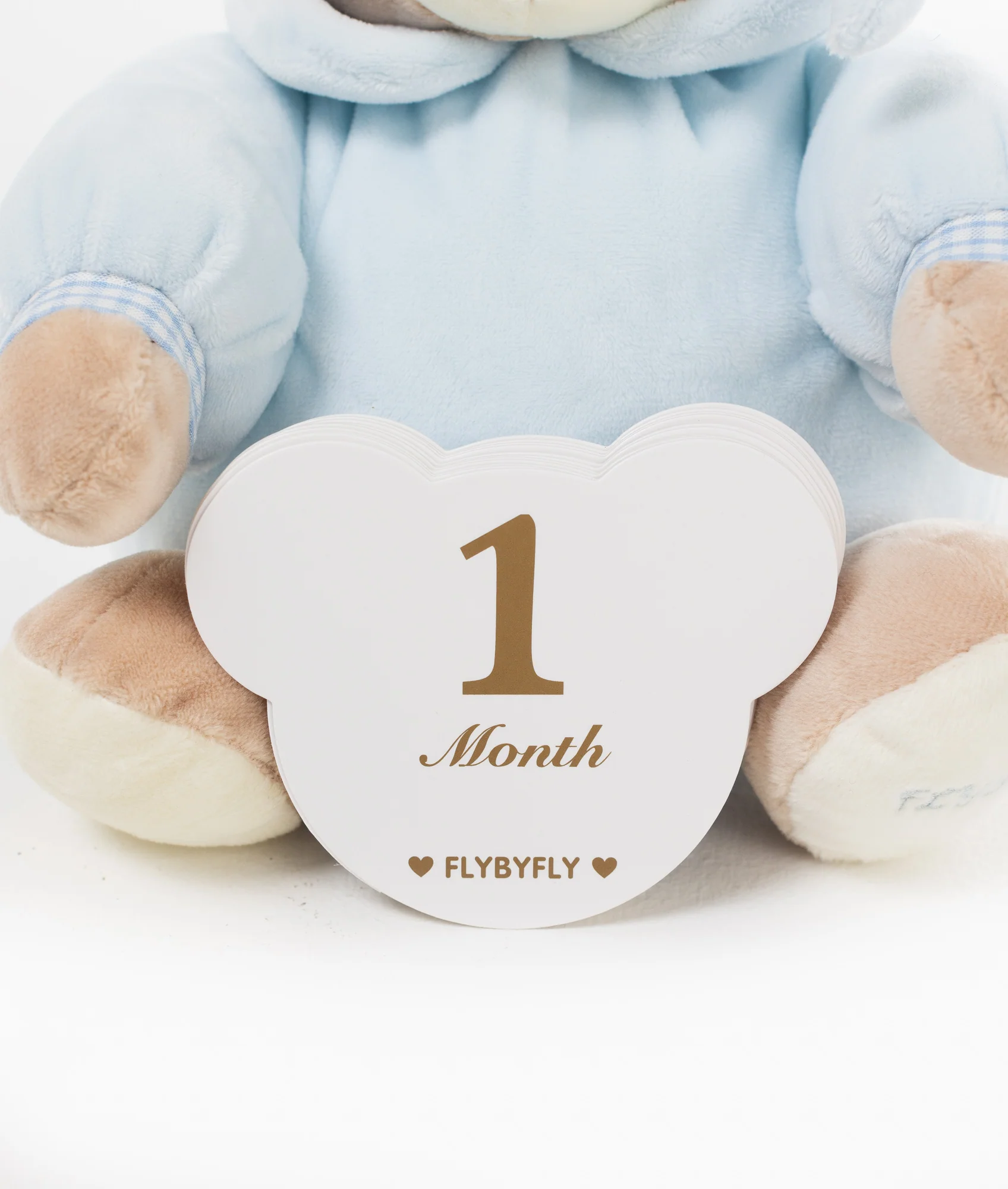 Baby Milestone Cards | Blue