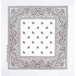 White Bandanna Paisley 22