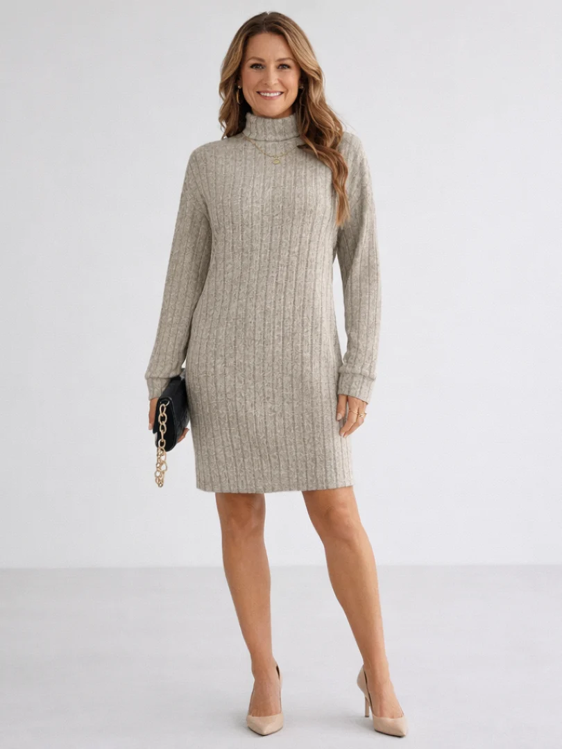 Womena??s Ribbed Knit Turtleneck Dress Relaxed Fit Above Knee Length