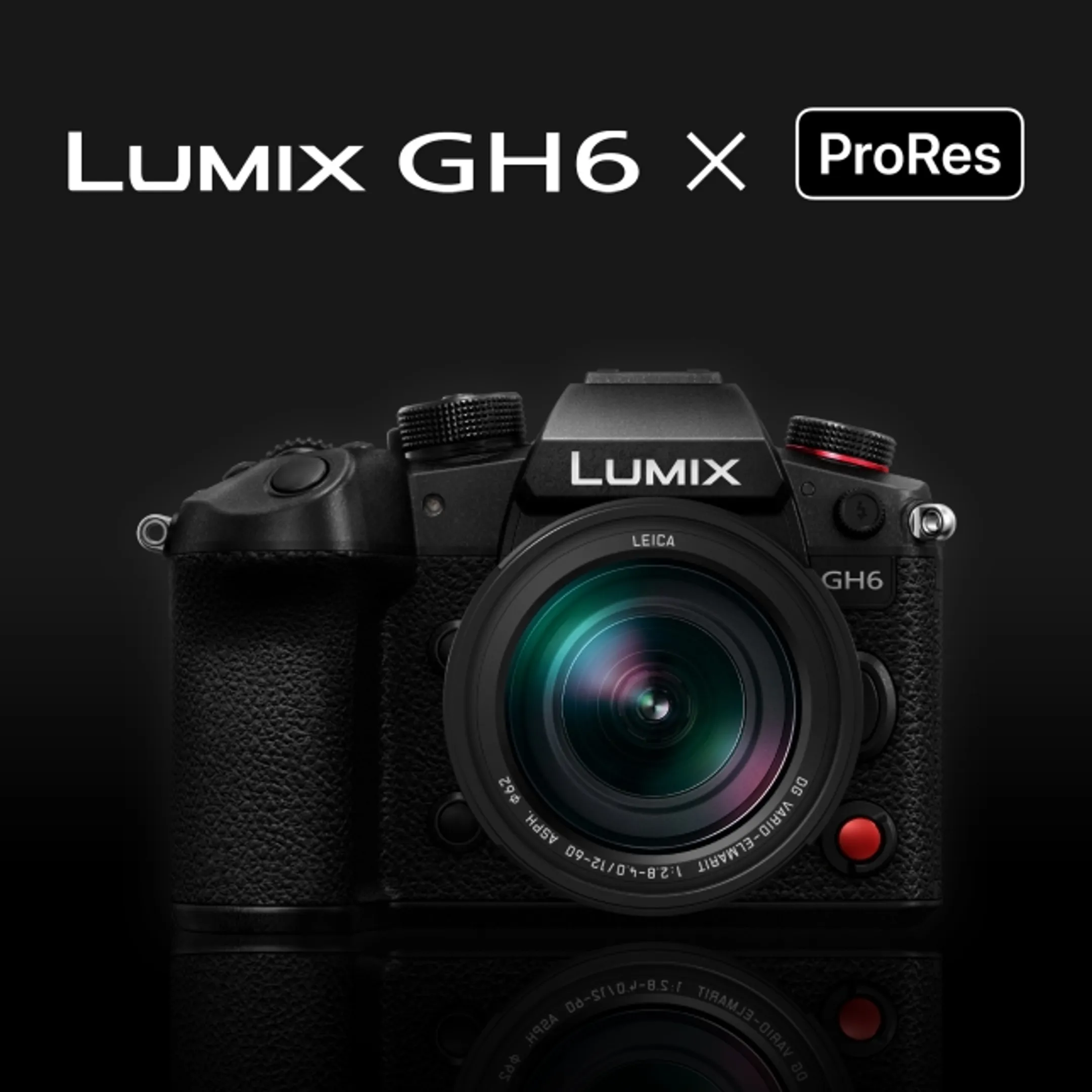 Panasonic Lumix DC-GH6 + Leica DG Vario-Elmarit 12-60 mm f/2.8 - 4.0 ASPH